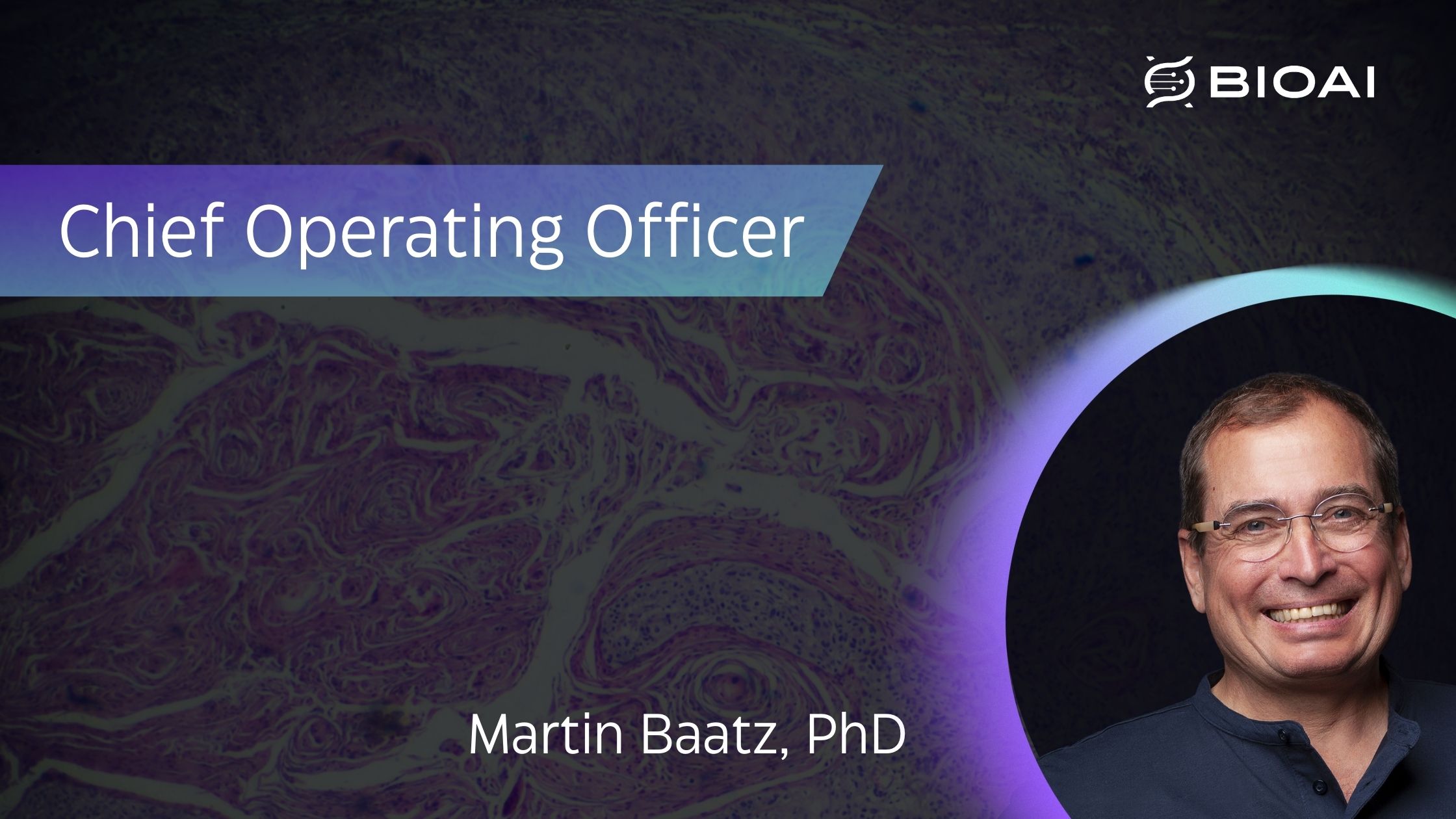 Read more about the article BioAI Health Announces the Appointment of Martin Baatz, PhD, as Chief Operating Officer